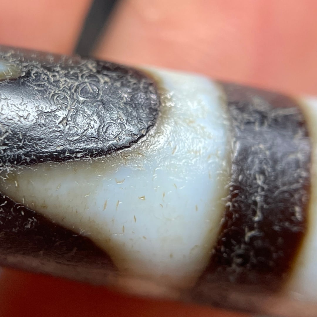 A Exquisite Tiger Tooth Dzi bead - 7