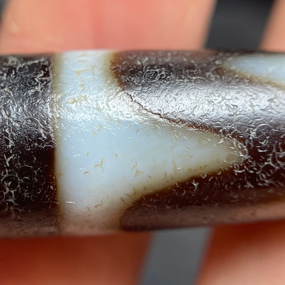 A Exquisite Tiger Tooth Dzi bead - 8