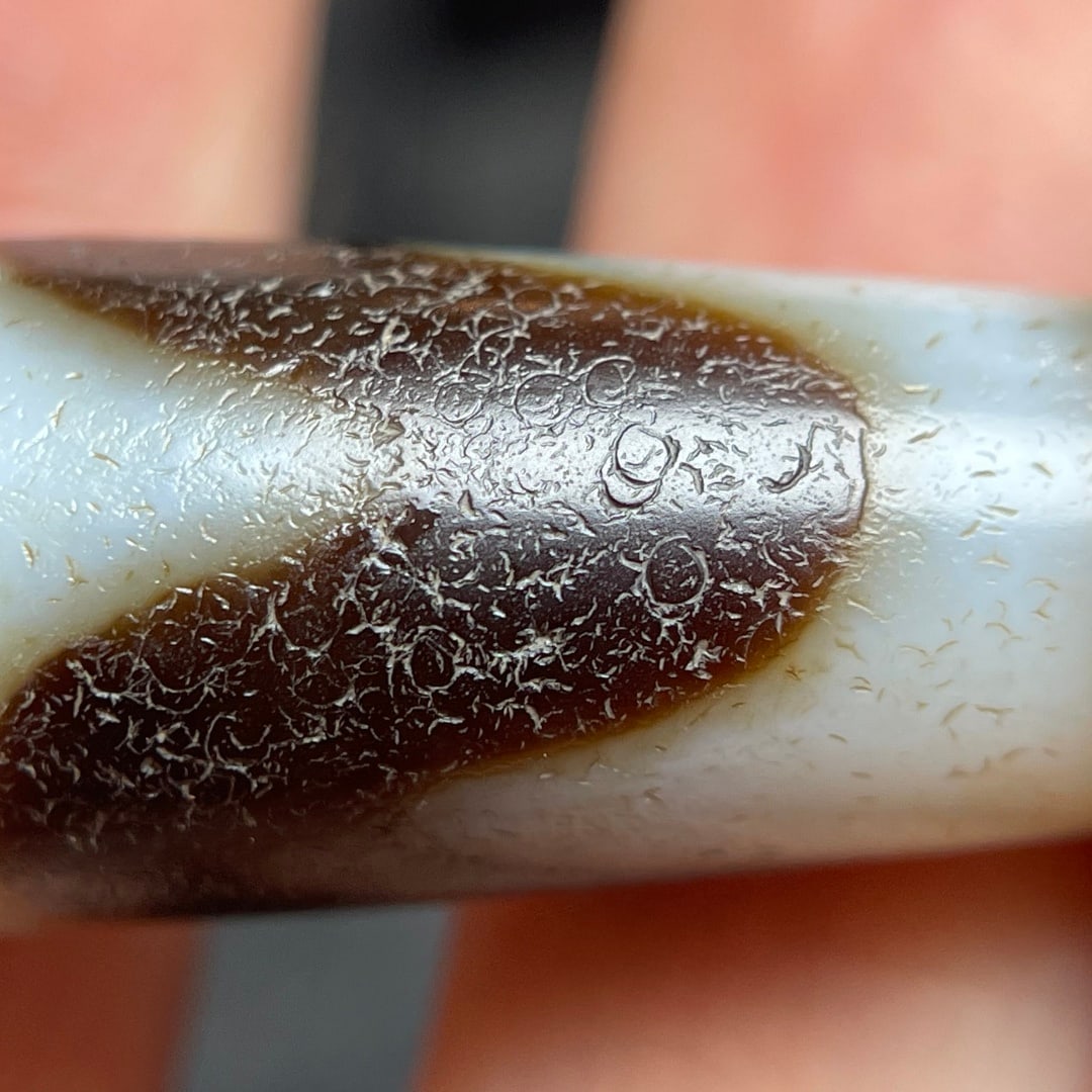 A Exquisite Tiger Tooth Dzi bead - 9