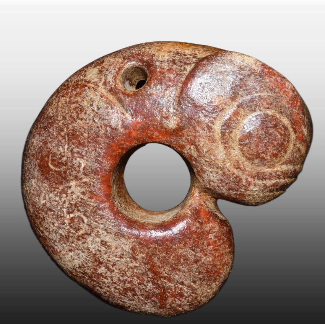 A Exquisite Gaogu Jade Pig Dragon: A Exquisite Gaogu Jade Pig Dragon,Ancient Time, China,Size:4.7inx4.4in,Weight:740g 高古玉猪龙,远古时期