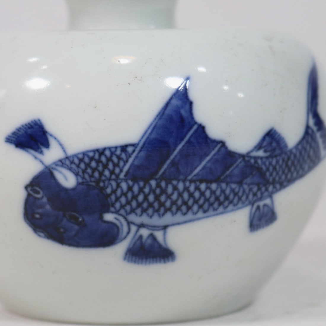 A Exquisite Blue and White Fish Pattern Apple Vase - 6
