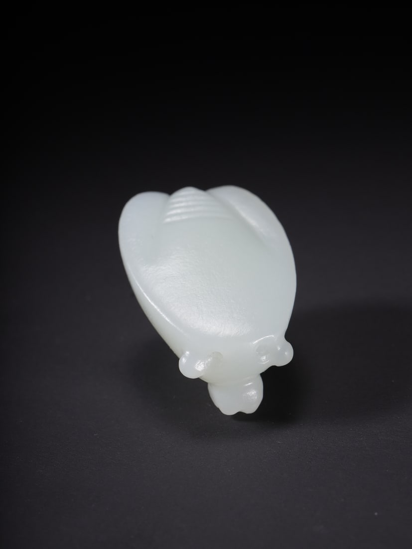 A Exquisite Hotan Jade Cicada - 8