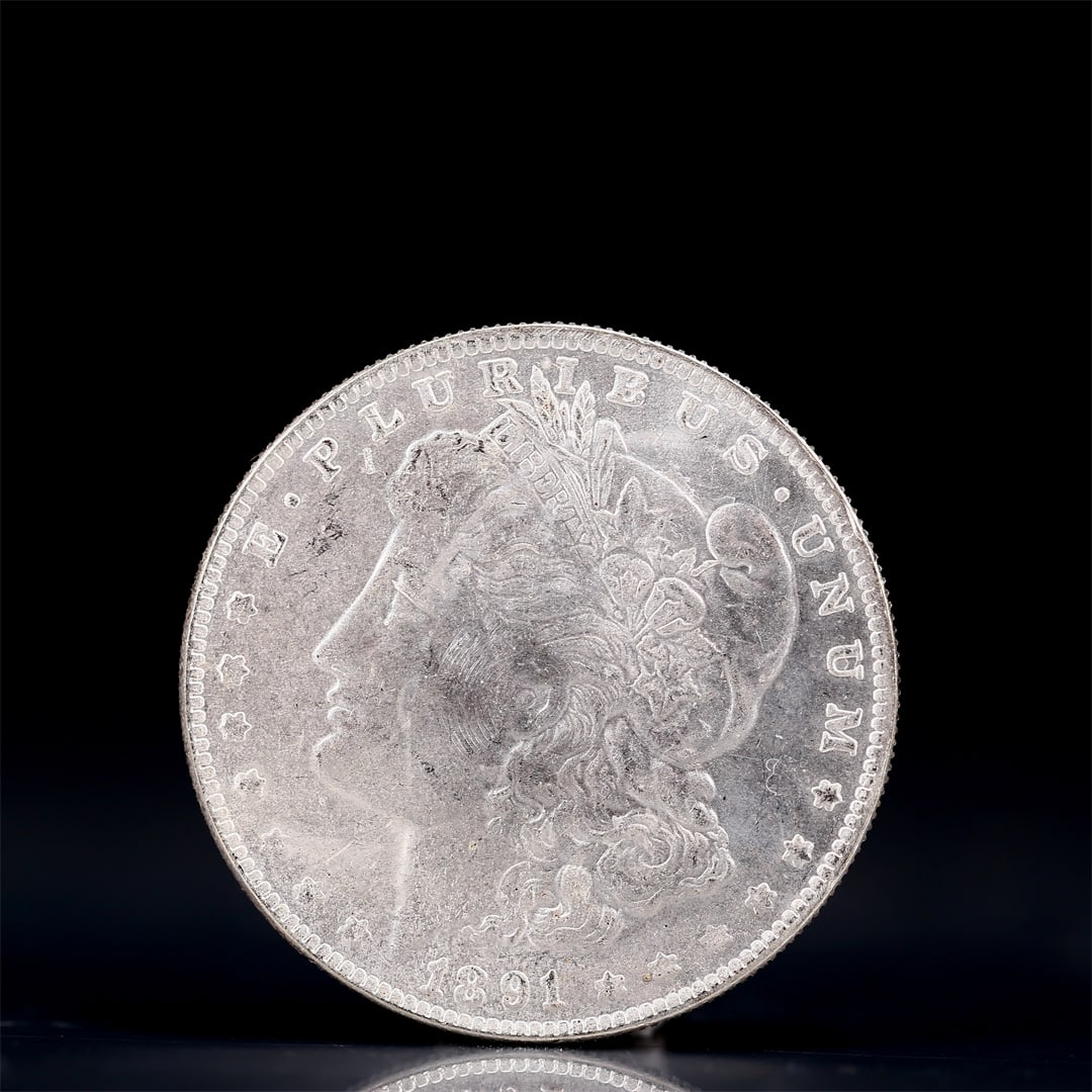 USA Morgan Dollar 1891 Coin: Obv: profile bust with date below and E PLURIBUS UNUM legend and stars around. Rev: eagle with In God we trust above within wreath with UNITED STATES OF AMERICA ONE DOLLAR legend. IN GOD WE TRUST / LI