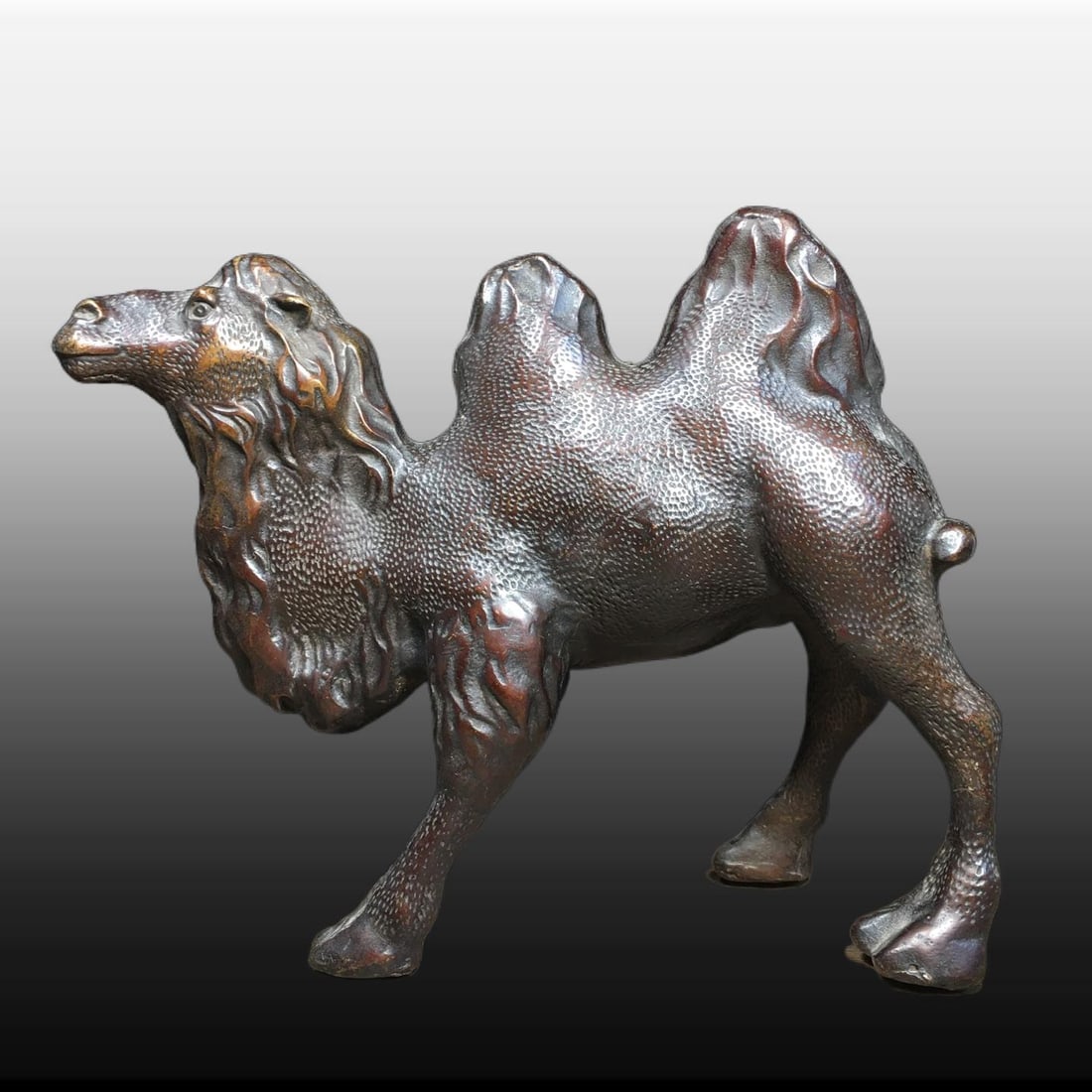 A Exquisite Copper Camel Ornament: A Exquisite Copper Camel Ornament,Ming Dynasty, China,Size:10.2inx4.7in,Weight:1950g 铜骆驼摆件,中国明代