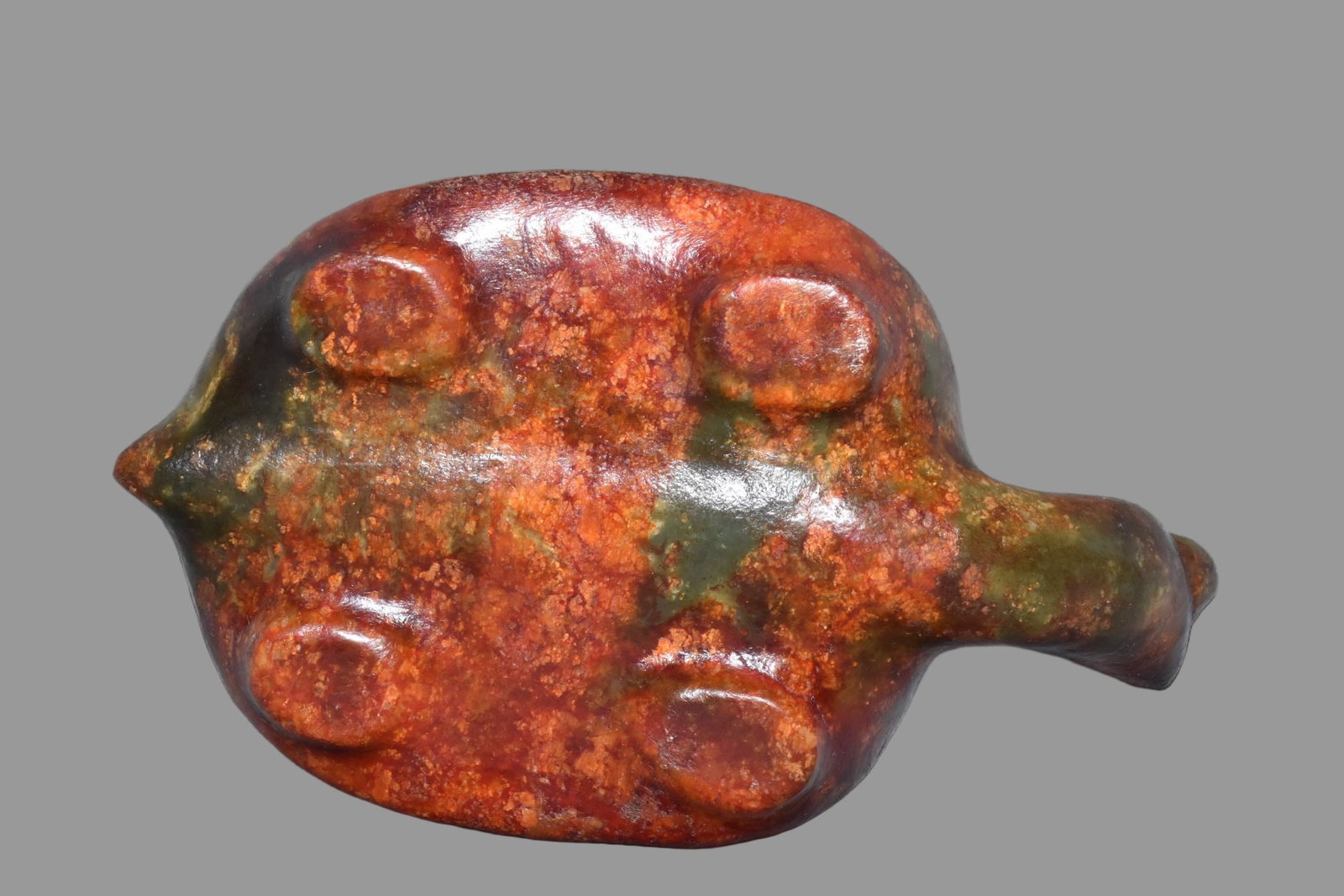 A Exquisite Hemoyu Turtle - 4