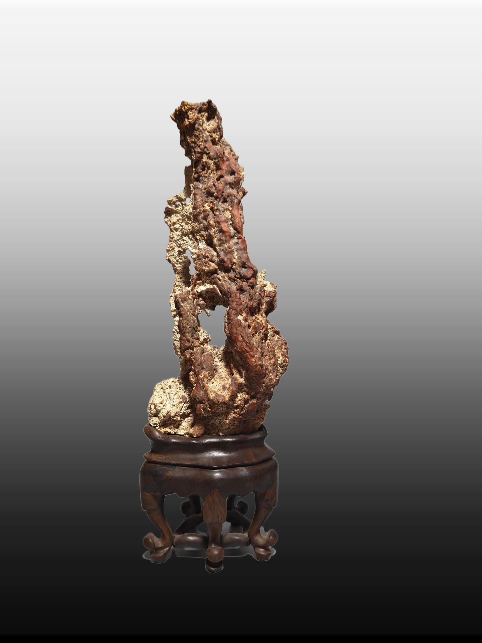 A Exquisite Fossil Wood Mountain Ornament: A Exquisite Fossil Wood Mountain Ornament,Qing Dynasty, China,Size:4.7inx4.3inx12.6in,Weight:1265g 木化石山石摆件,中国清代
