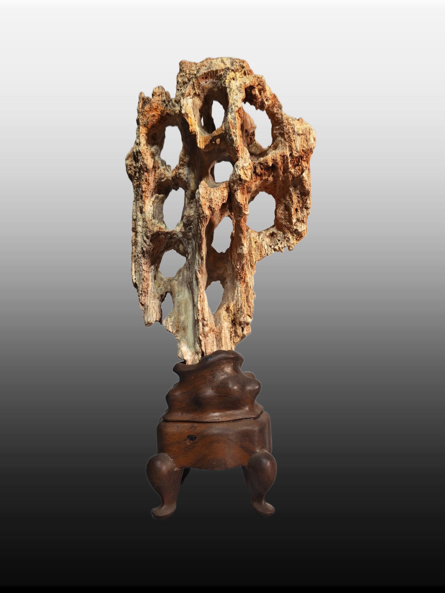 A Exquisite Fossil Wood Mountain Ornament: A Exquisite Fossil Wood Mountain Ornament,Qing Dynasty, China,Size:5.1inx3.5inx11.4in,Weight:890g 木化石山石摆件,中国清代