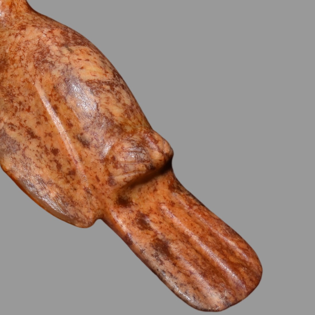 A Exquisite Hemoyu Bird - 3