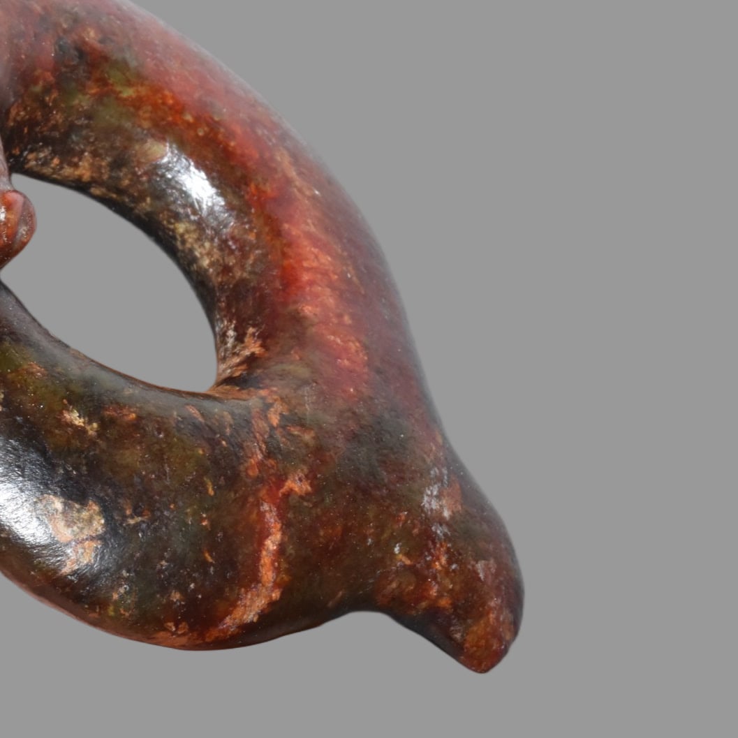A Exquisite Hemoyu Dragon - 3