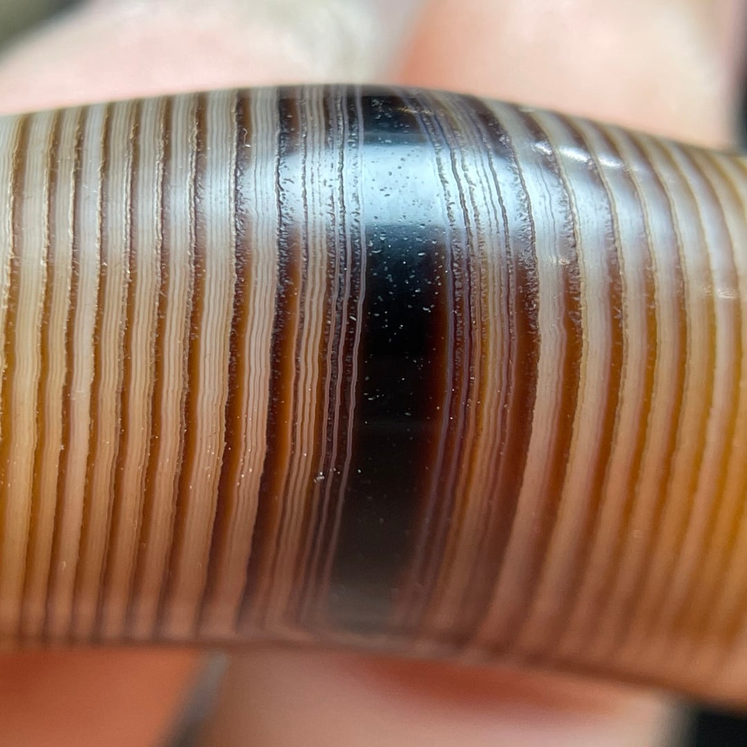 A Exquisite Horn Shape Dzi bead - 7