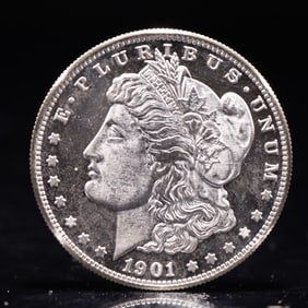 USA Morgan Dollar 1901 Coin