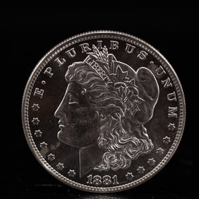 USA Morgan Dollar 1881 Coin