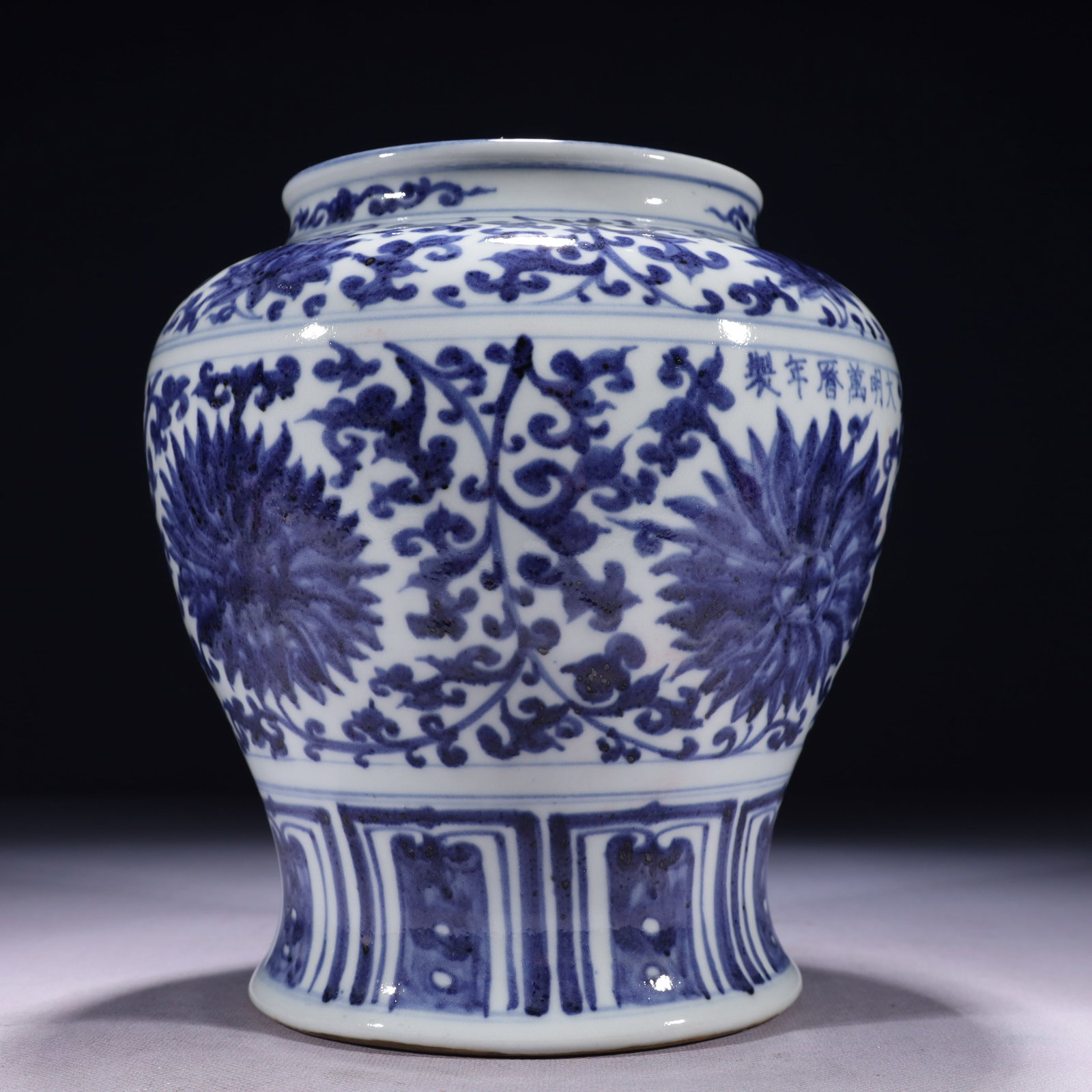 An Exquisite Blue and White Lotus Pattern Jar - 10