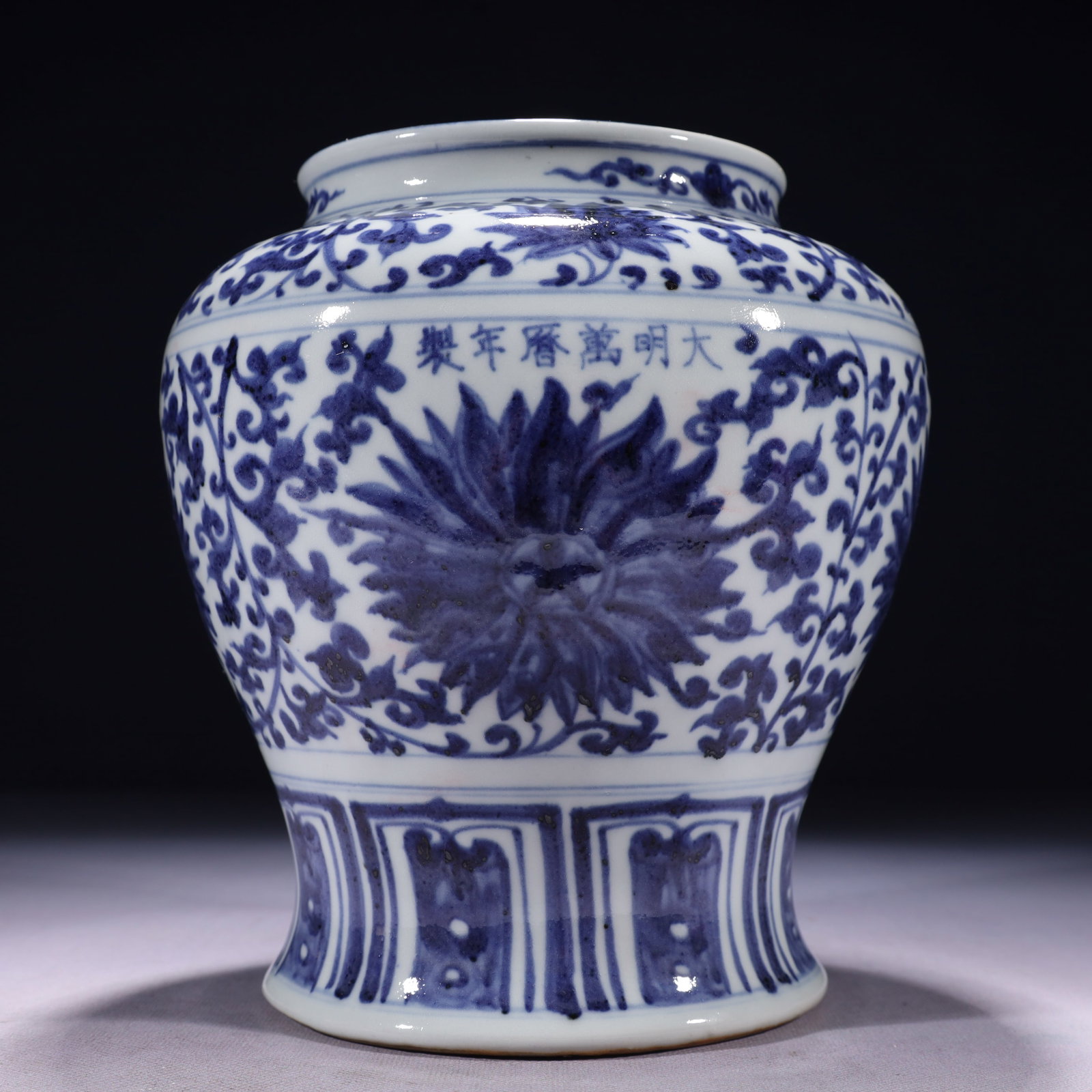 An Exquisite Blue and White Lotus Pattern Jar - 11