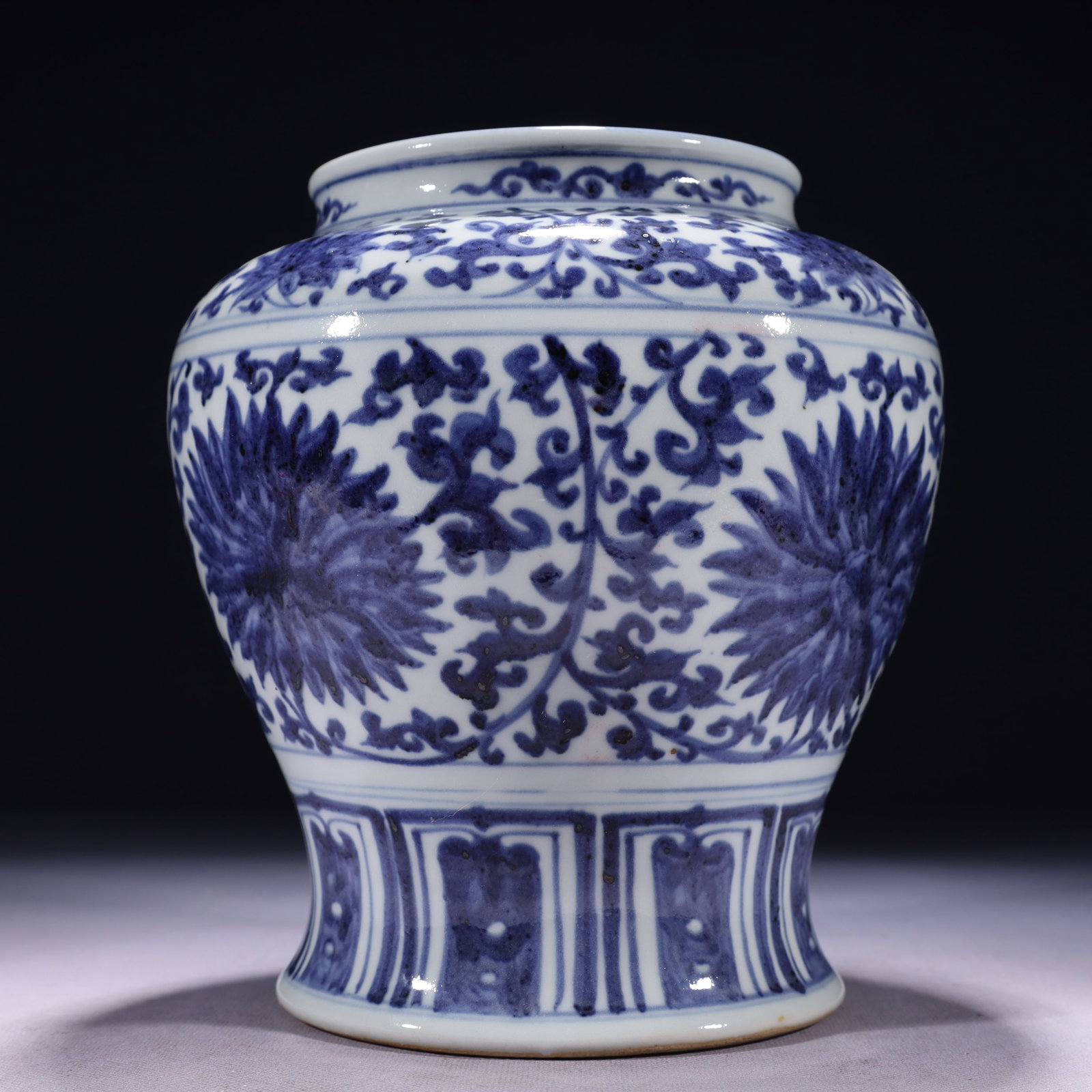An Exquisite Blue and White Lotus Pattern Jar - 5