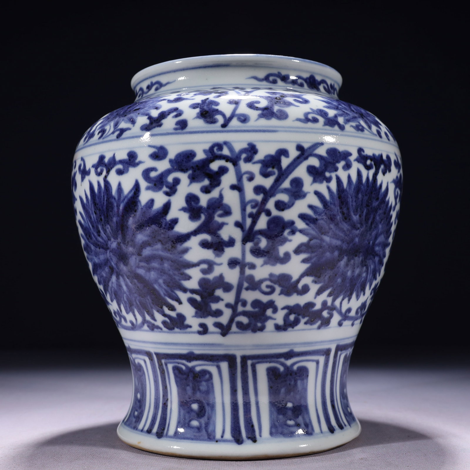 An Exquisite Blue and White Lotus Pattern Jar - 7