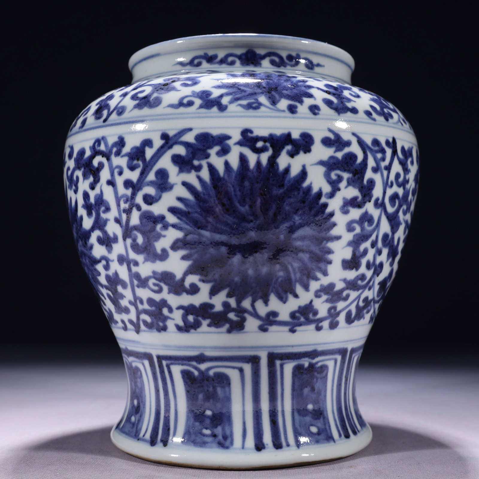 An Exquisite Blue and White Lotus Pattern Jar - 8