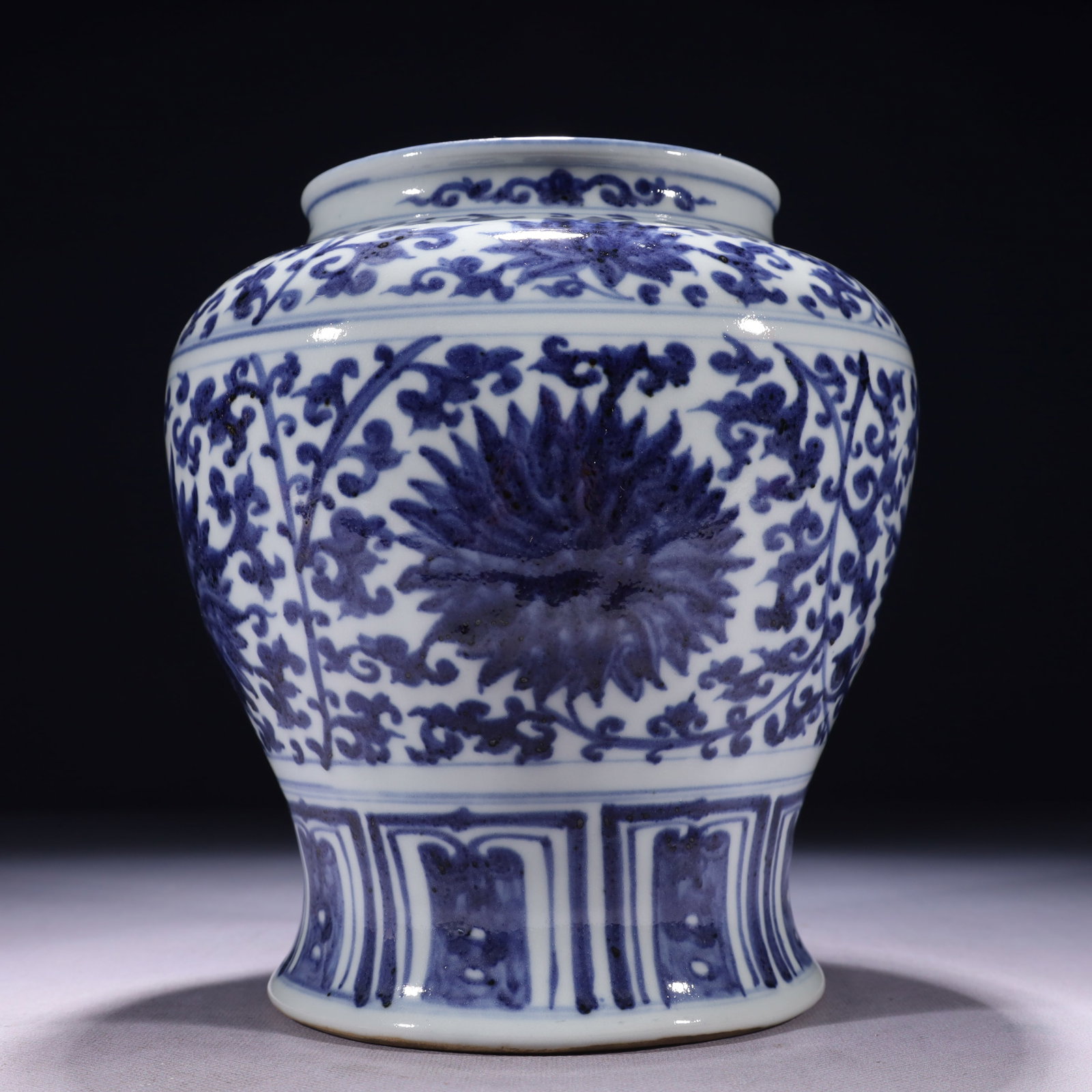 An Exquisite Blue and White Lotus Pattern Jar - 9