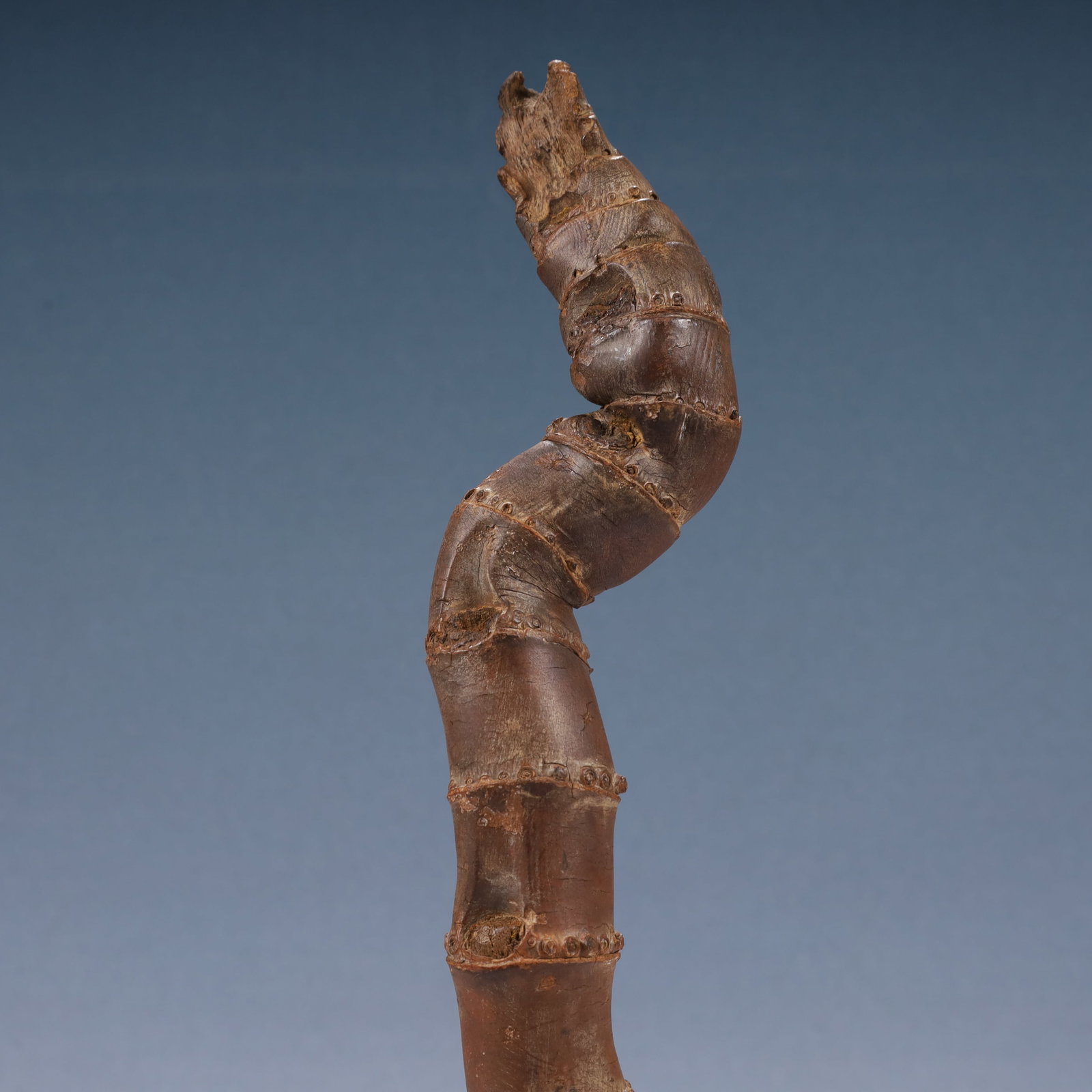 A Rare Root Ornament - 7