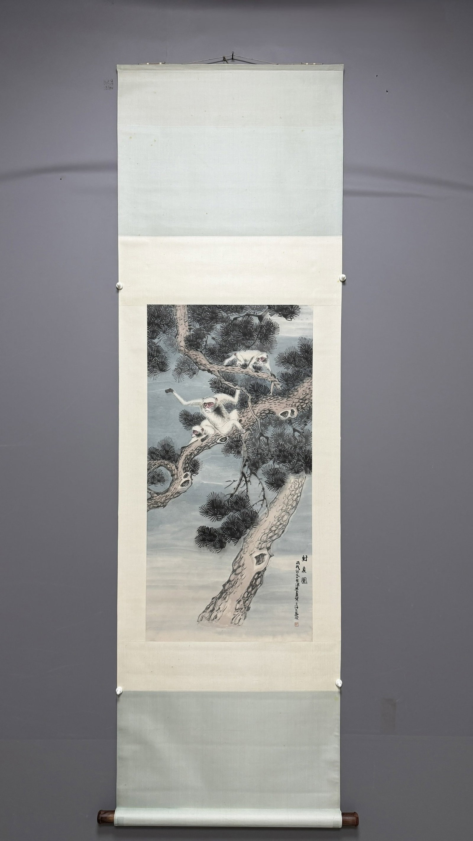 A Chinese Vertical Scroll Ink Painting of Pine and Monkey on Paper: A Chinese Vertical Scroll Ink Painting of Pine and Monkey on Paper,Zhu Wenhou,Size:39.4inx19.3in