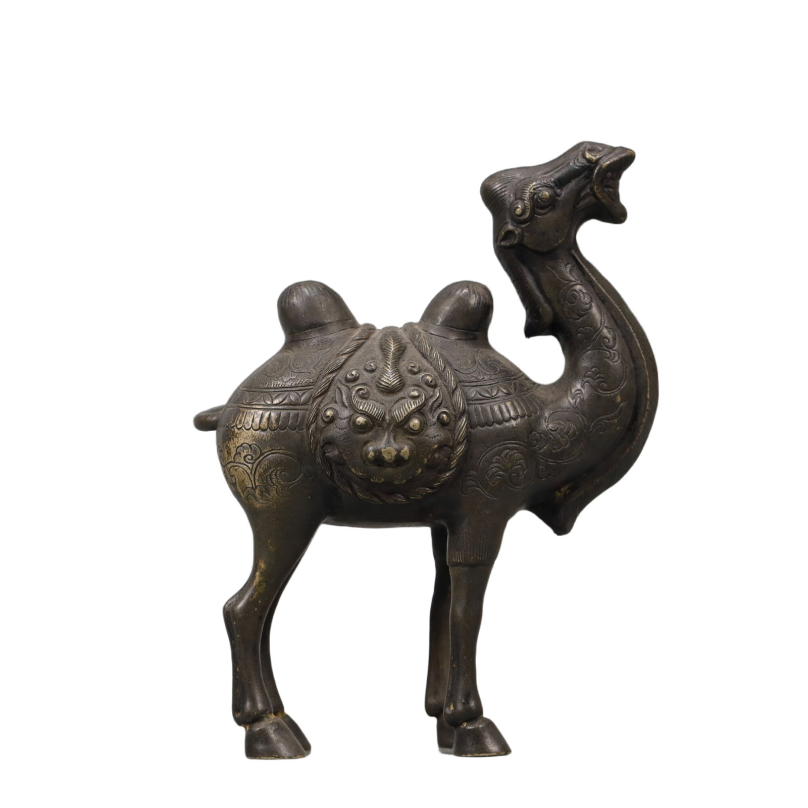 A Wonderful Silver Camel (1 of 7)