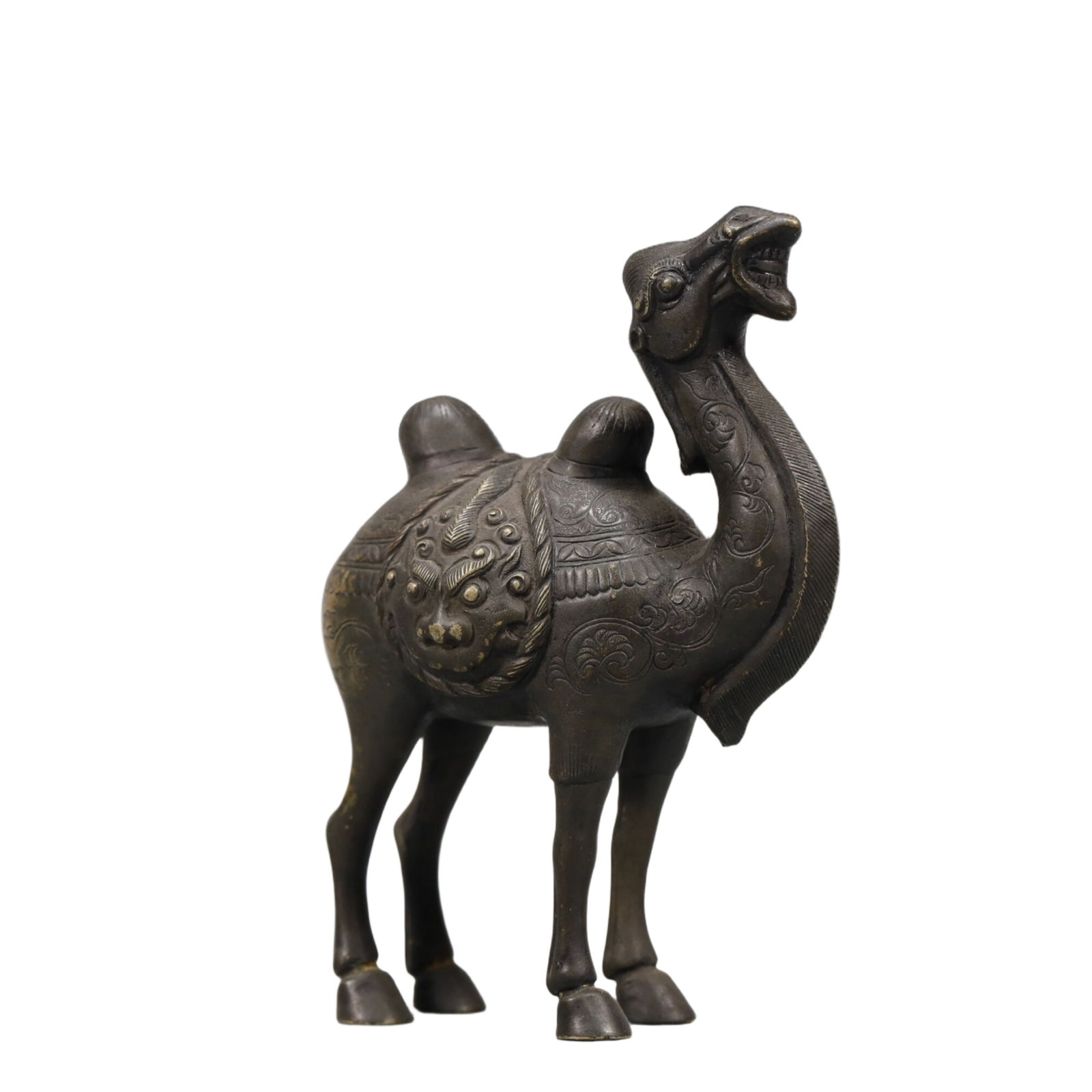 A Wonderful Silver Camel - 2
