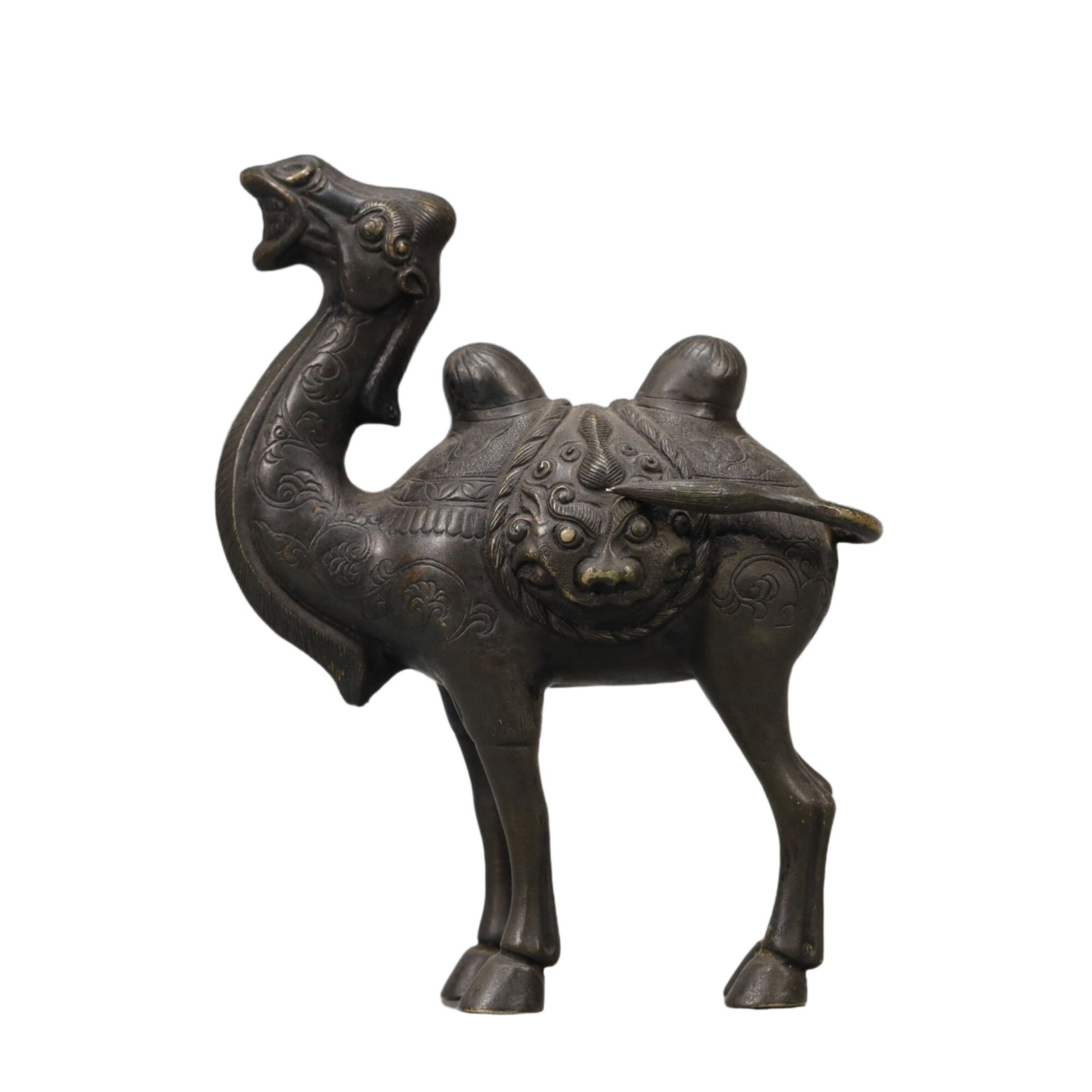 A Wonderful Silver Camel - 4