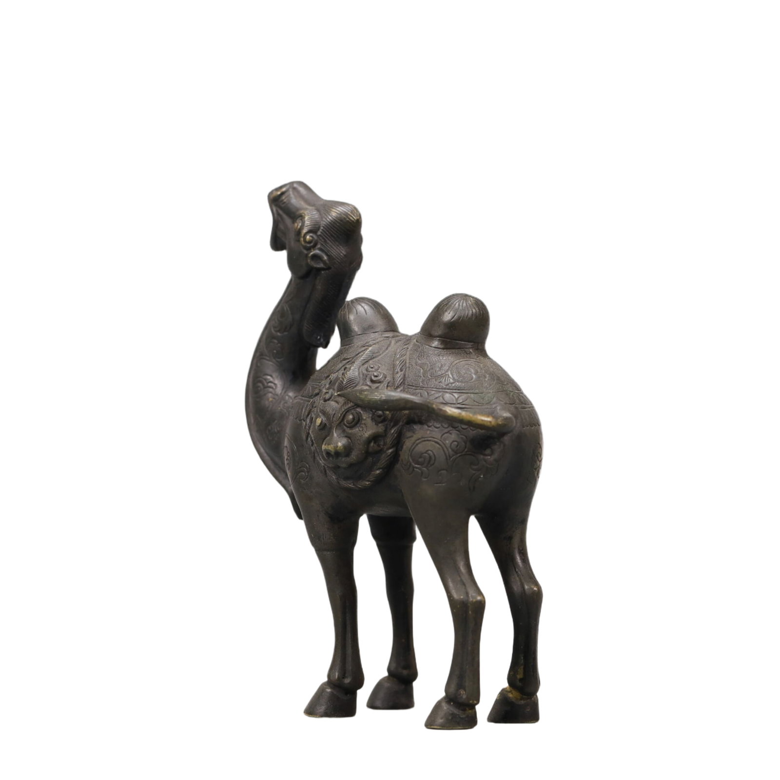 A Wonderful Silver Camel - 5