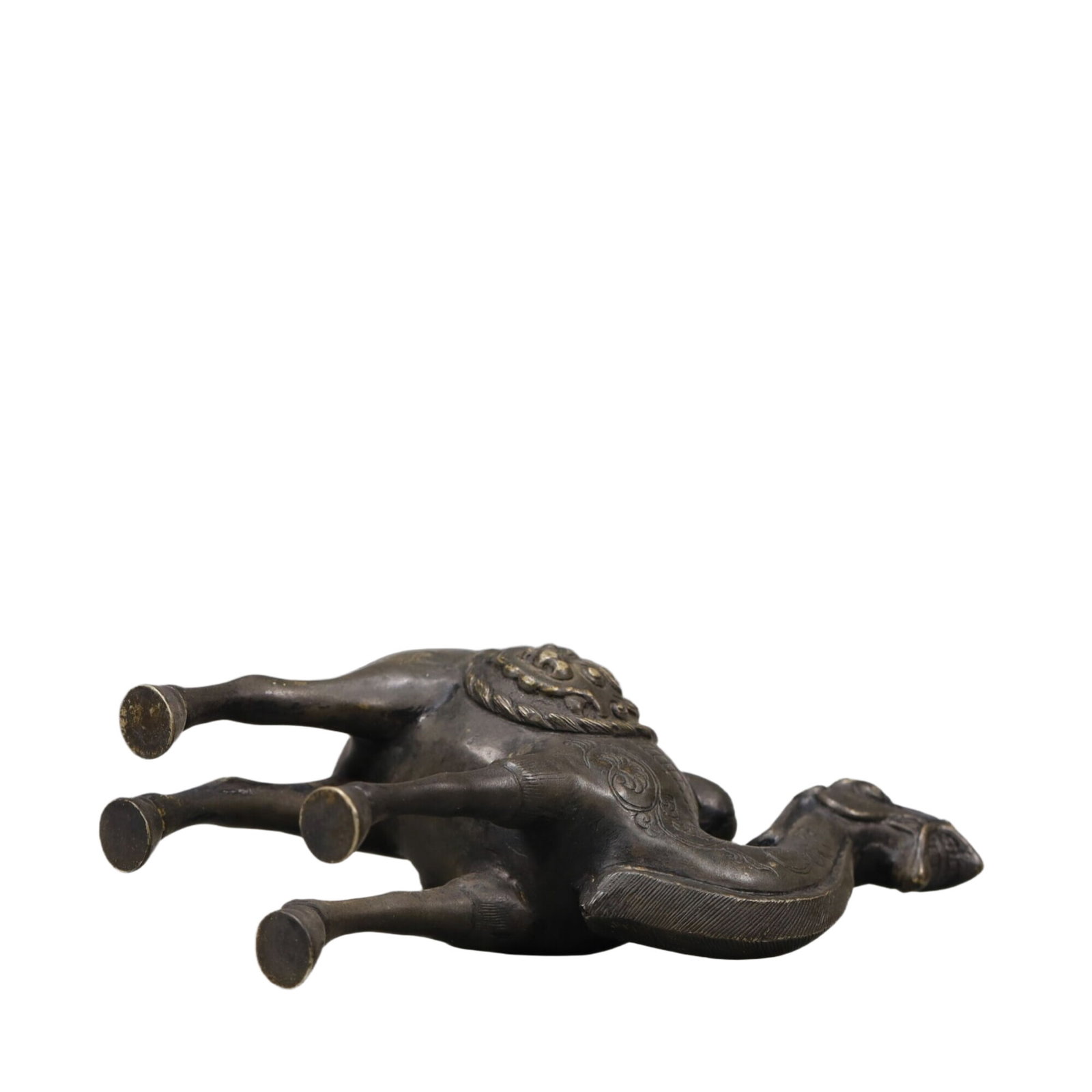 A Wonderful Silver Camel - 7