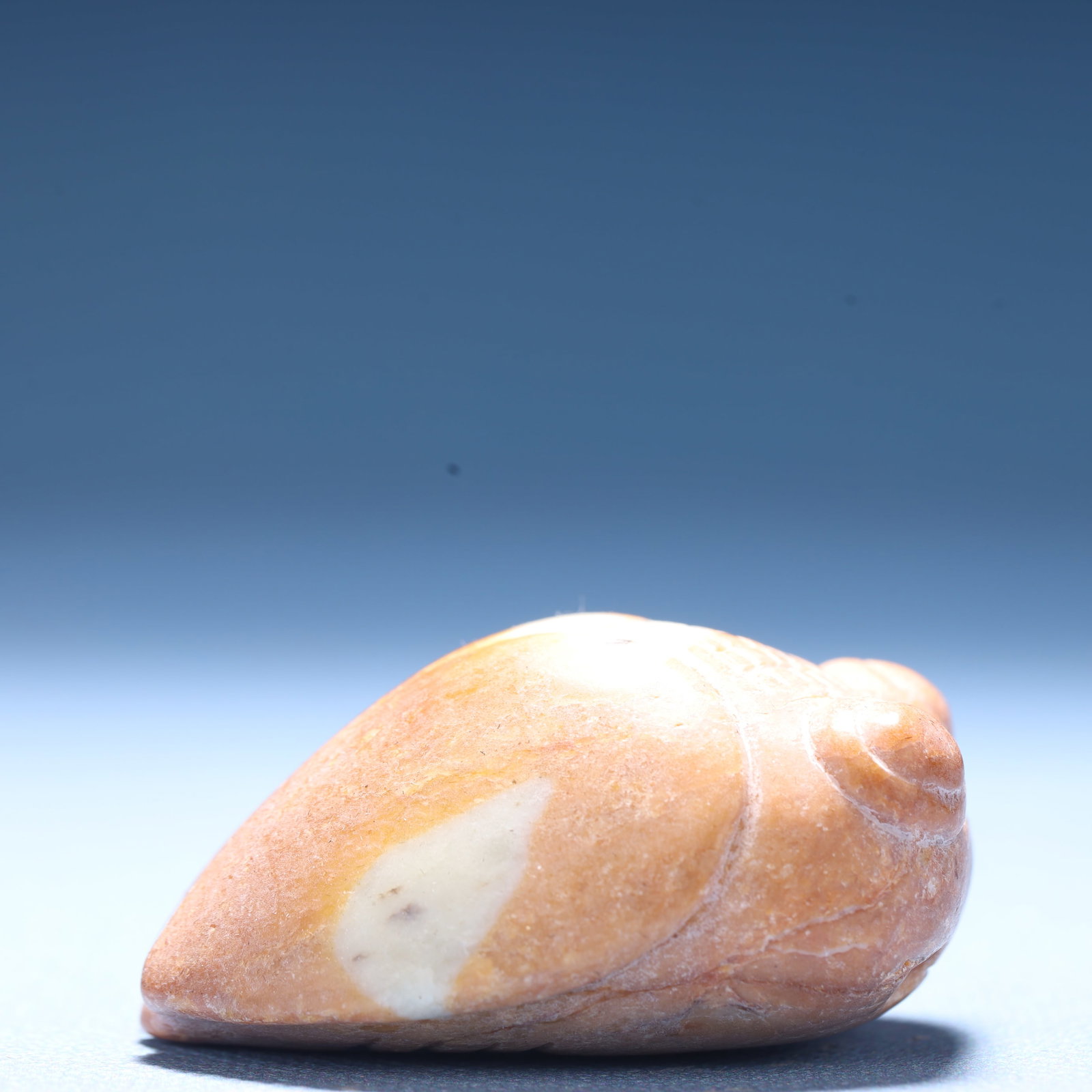 An Archaic Hongshan Culture Yellow Jade Cicada Ornament: An Archaic Hongshan Culture Yellow Jade Cicada Ornament,Ancient Time,China,Size:1.9inx1.4inx1.1in,Weight:68.5g 红山文化黄玉蝉摆件,中国