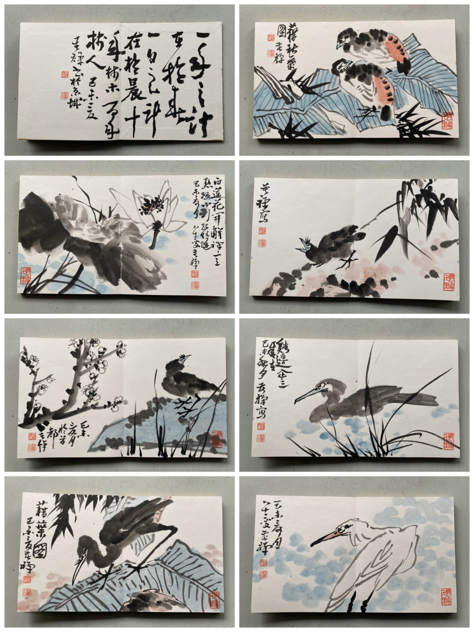 A Chinese Album Ink Painting of Flower and Bird on Paper: A Chinese Album Ink Painting of Flower and Bird on Paper,Li Kuchan,Size:12.6inx21.7inx3.1in 一本中国水墨花鸟画册,李苦禅