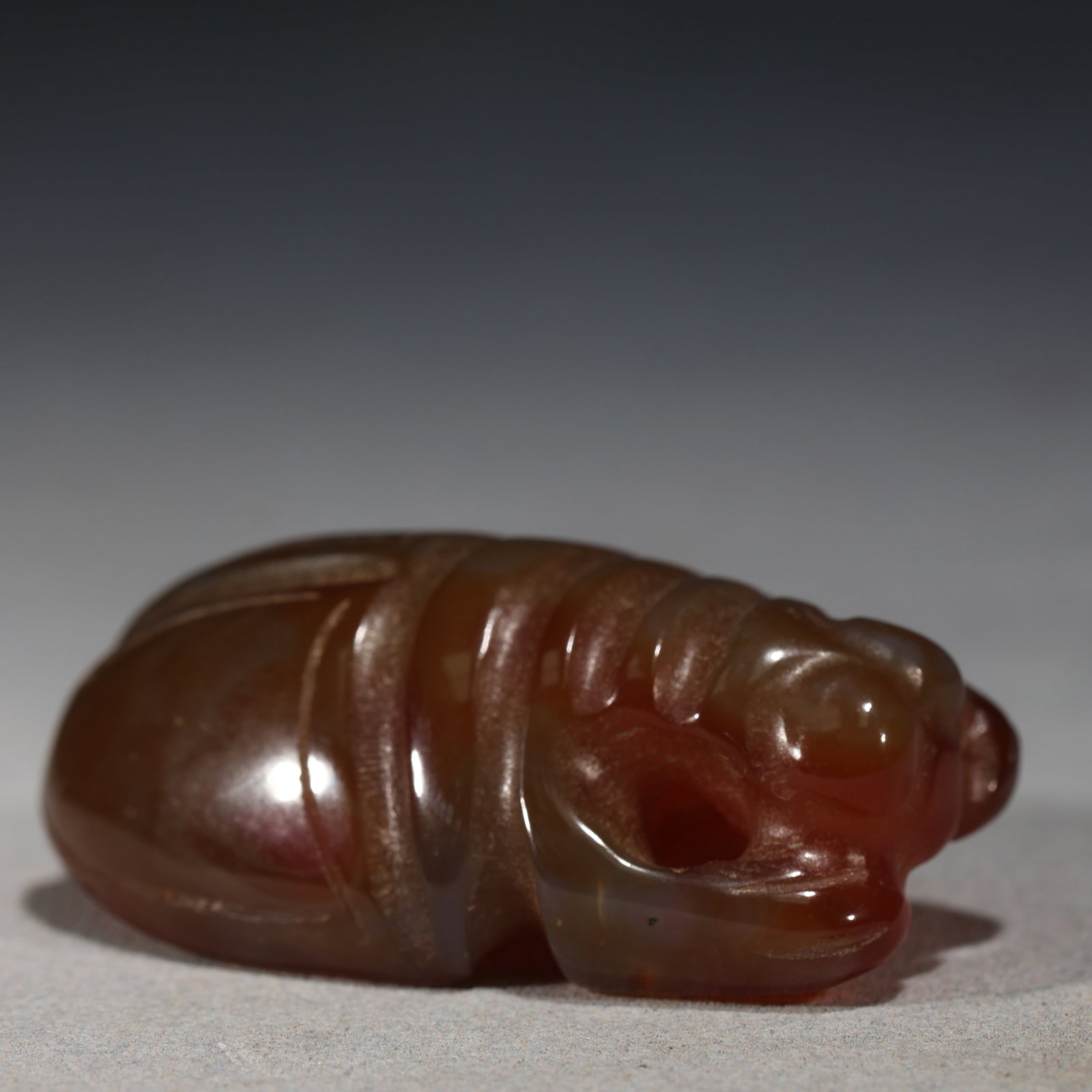 RED AGATE CARVED SILKWORM PENDANT: A carved red agate pendant in the form of a stylized silkworm,characterized by segmented ribbed bands across its back and a curled head.The dark reddish-brown stone shows excellent