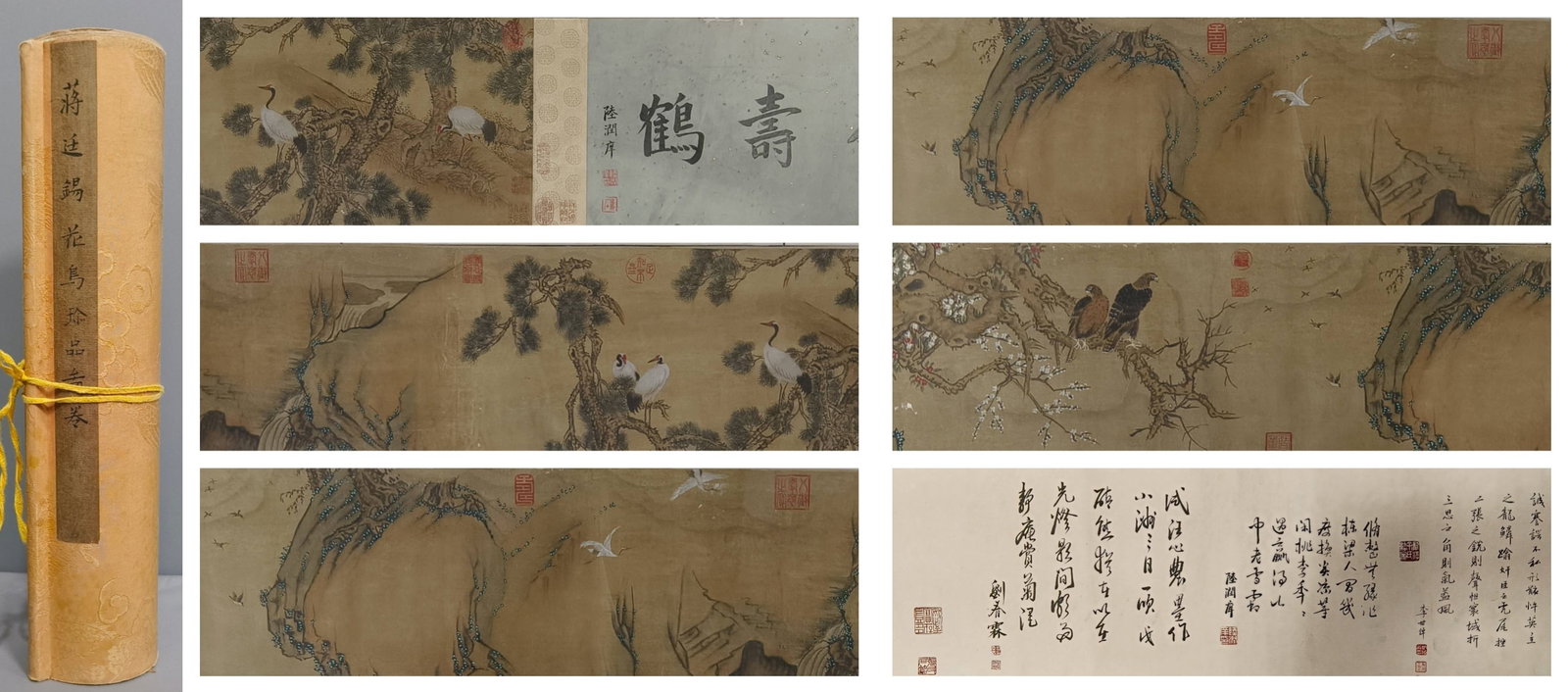 A Chinese Hand Scroll Ink Painting of Flower and Bird on Paper,: A Chinese Hand Scroll Ink Painting of Flower and Bird on Paper,Size:106.3inx11.8in.中国水墨花鸟画手卷,蒋廷锡,