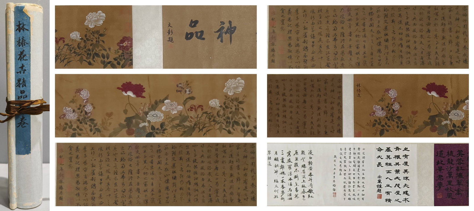 A Chinese Hand Scroll Ink Painting of Flowe on Paper: A Chinese Hand Scroll Ink Painting of Flowe on Paper,Size:118.1inx11.4in.中国水墨花卉画手卷,林椿,