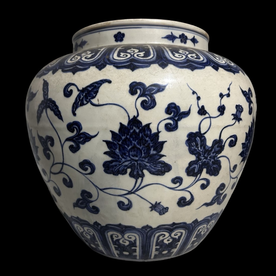 An Exquisite Blue and White Lotus Pattern Jar (1 of 7)