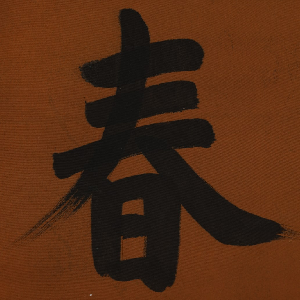 A Chinese Ink Calligraphy on Silk - 6