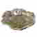 item-129231684=2