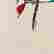 item-136467137=4