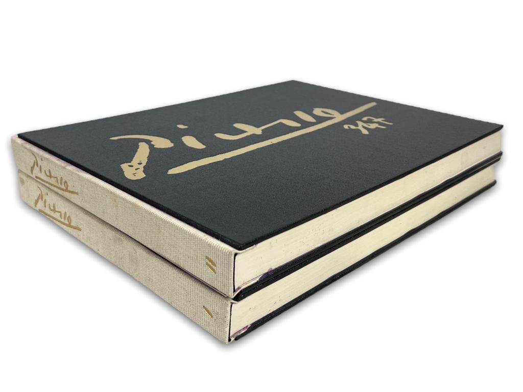 Pablo Picasso 347 Two Volume Book Set (1 of 7)