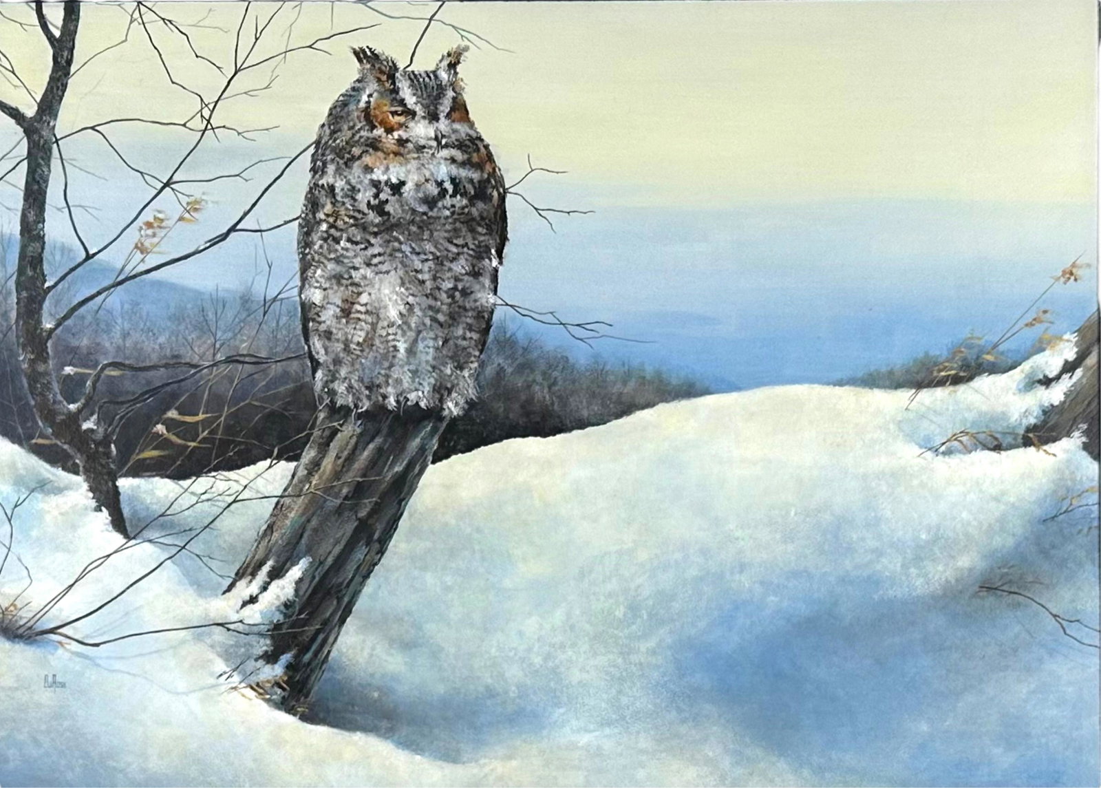 Edward DuRose Acrylic on Paper 'Owl' MN Artist (1 of 4)
