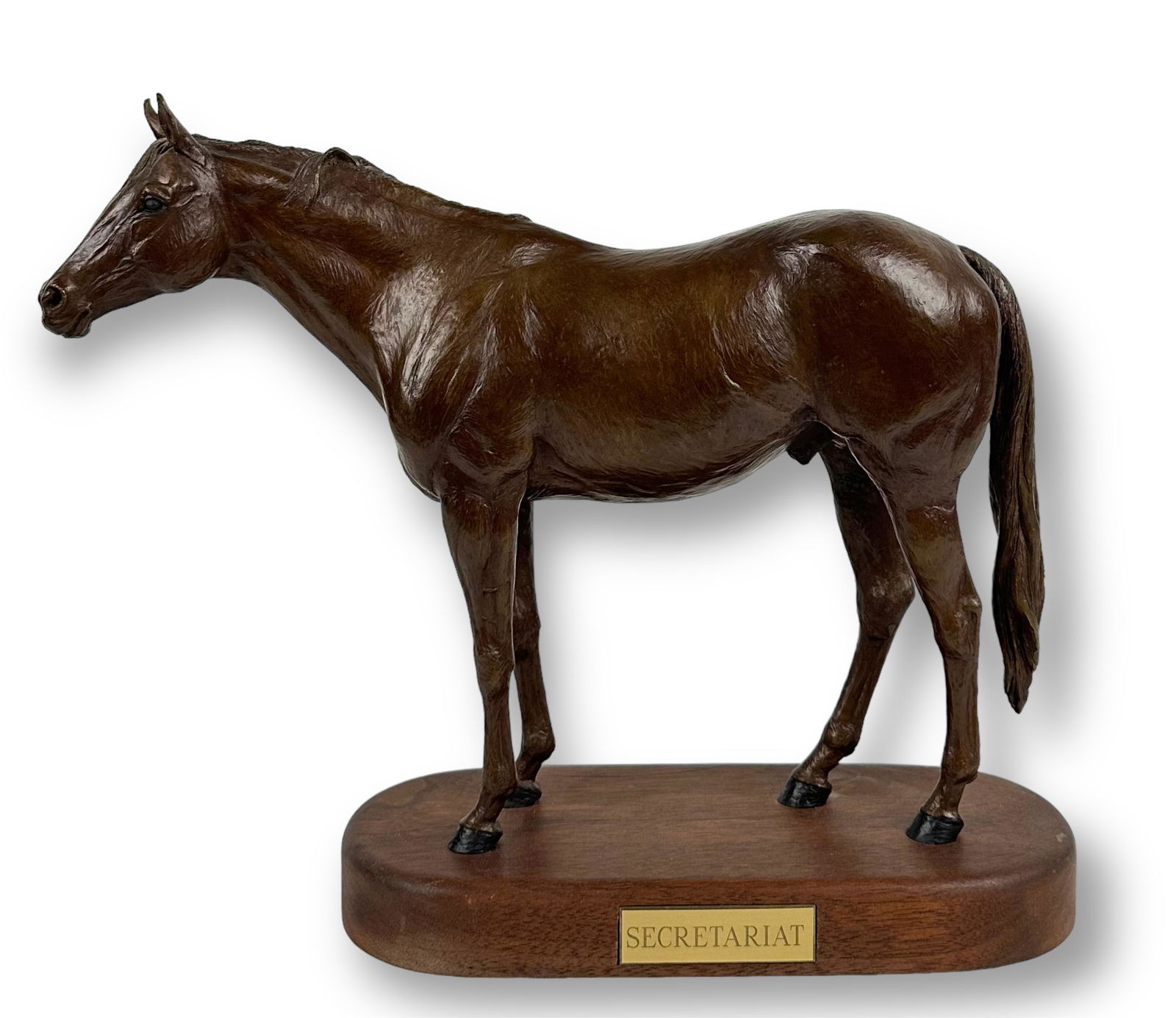 Liza Todd-Tivey "Secretariat" Bronze Horse (1 of 10)