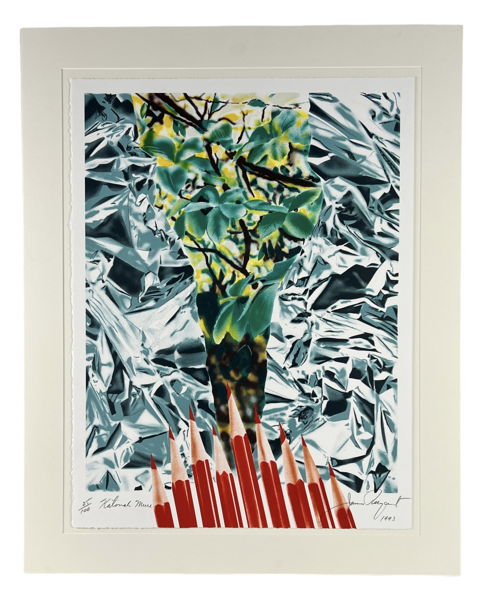 James Rosenquist "Katonah Muse" Lithograph 1993 (1 of 4)