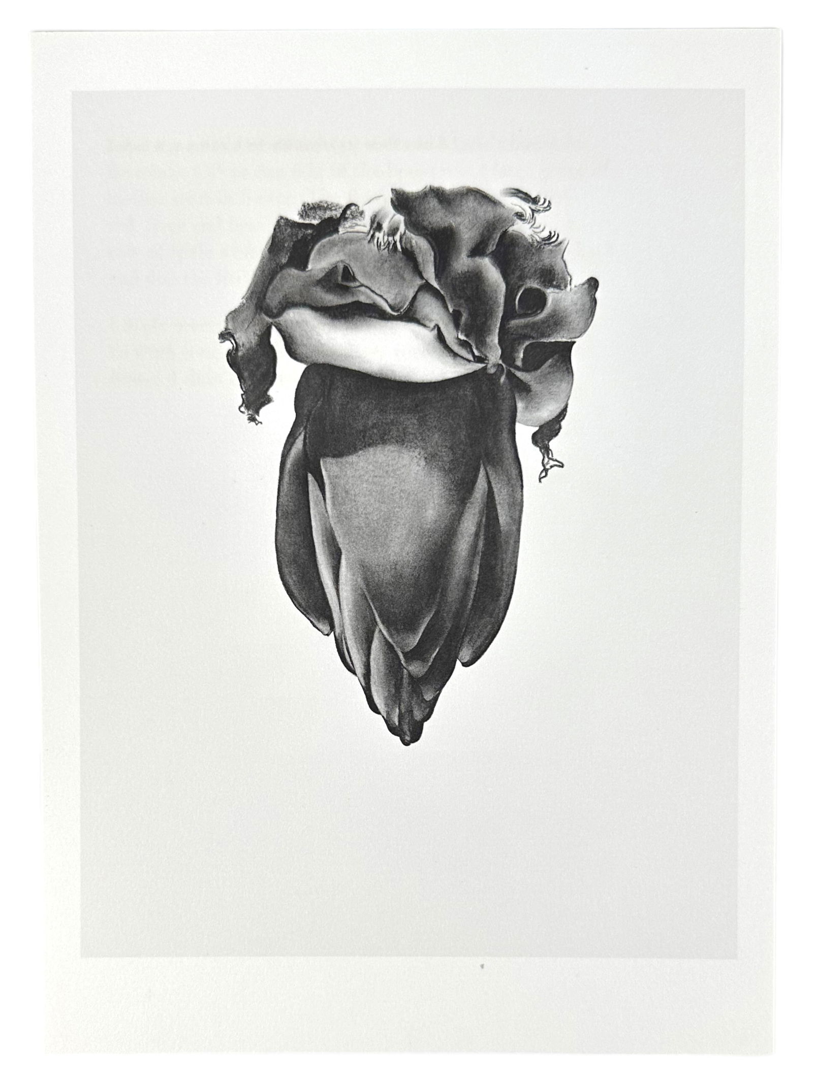 Georgia O'Keeffe "Some Memories of Drawings" Book (1 of 20)