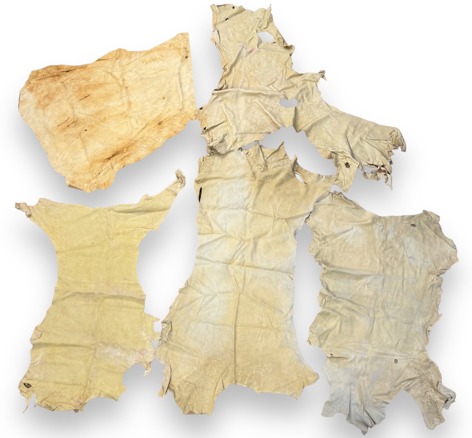 (5) Unstretched Leather Hides (A): Bottom left hide measures:43"x34" Condition: Please see photos.