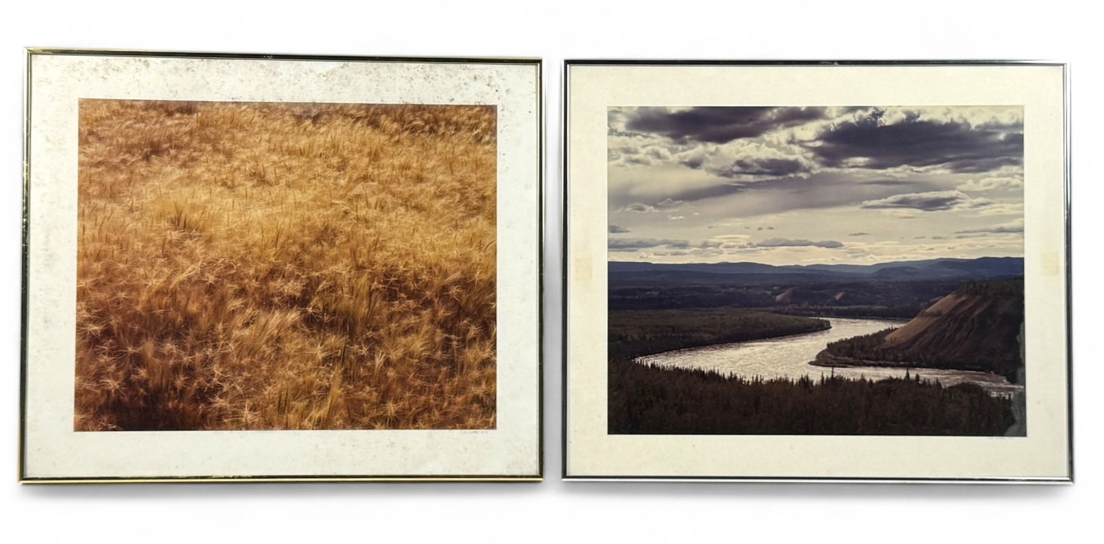 (2) Cole Westin Photographs (1 of 10)