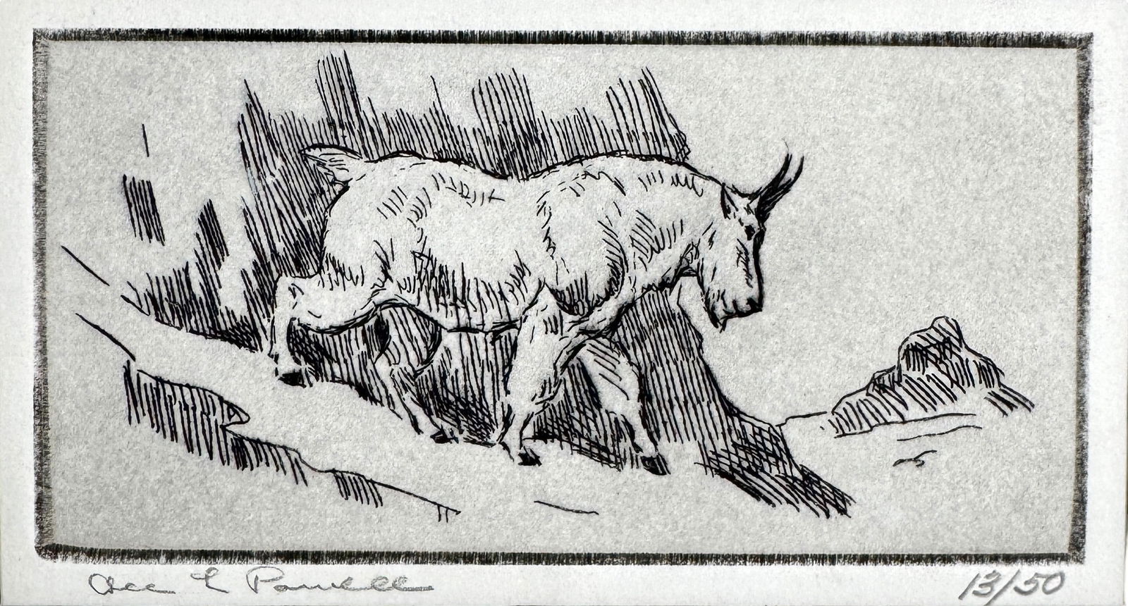 Ace Powell 'Mountain Goat' Etching (1 of 6)
