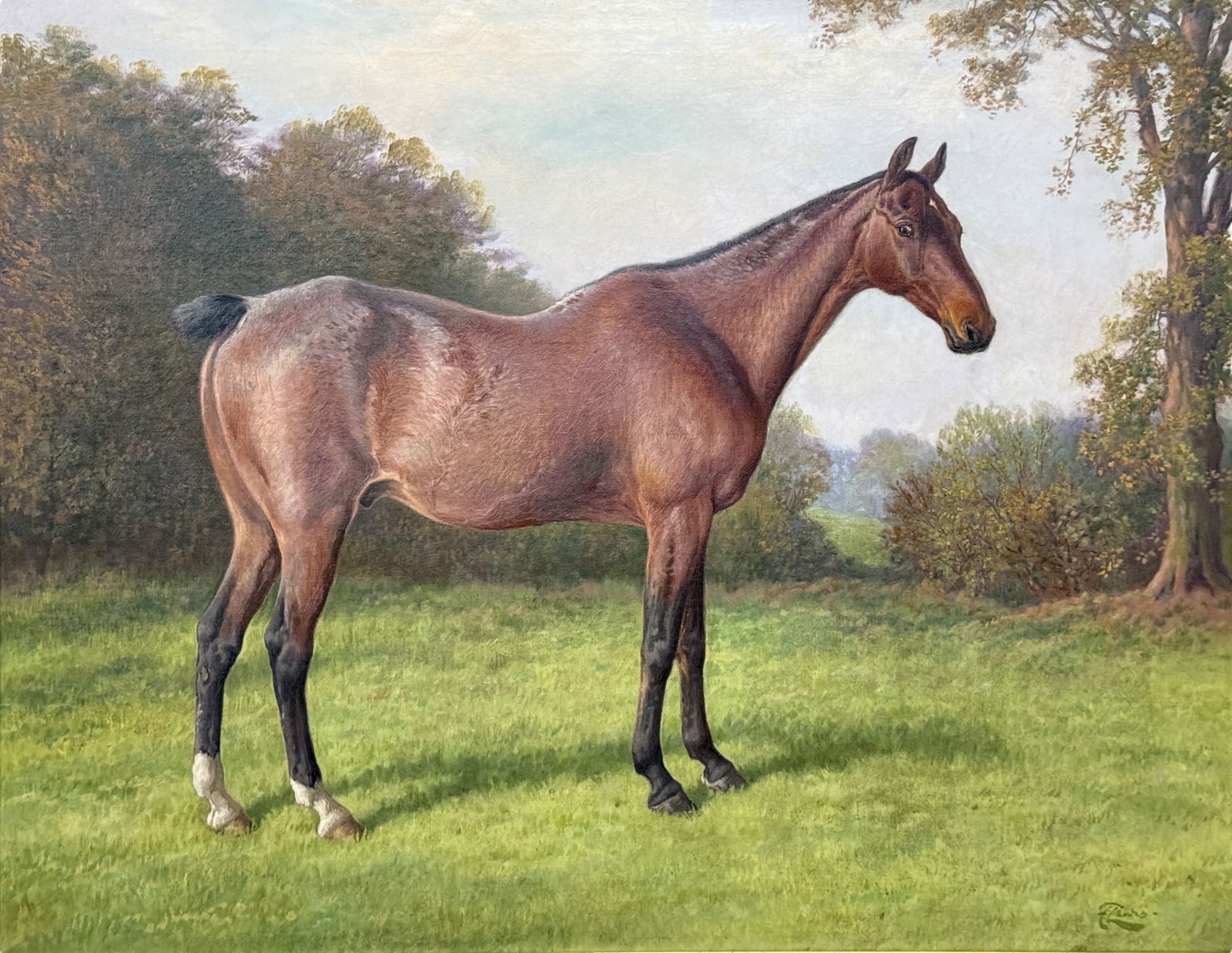 F. Lewis "Rugby" Horse Portrait Oil on Canvas (1 of 7)
