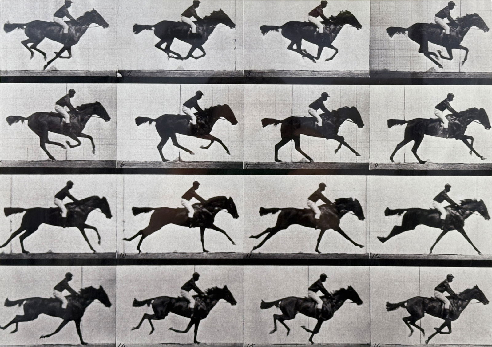 Eadweard Muybridge's" "The Horse In Motion" Photograph: Frame: 16 x 20 1/4" Image: 10" x 14" Condition: Both image and frame are in very good condition