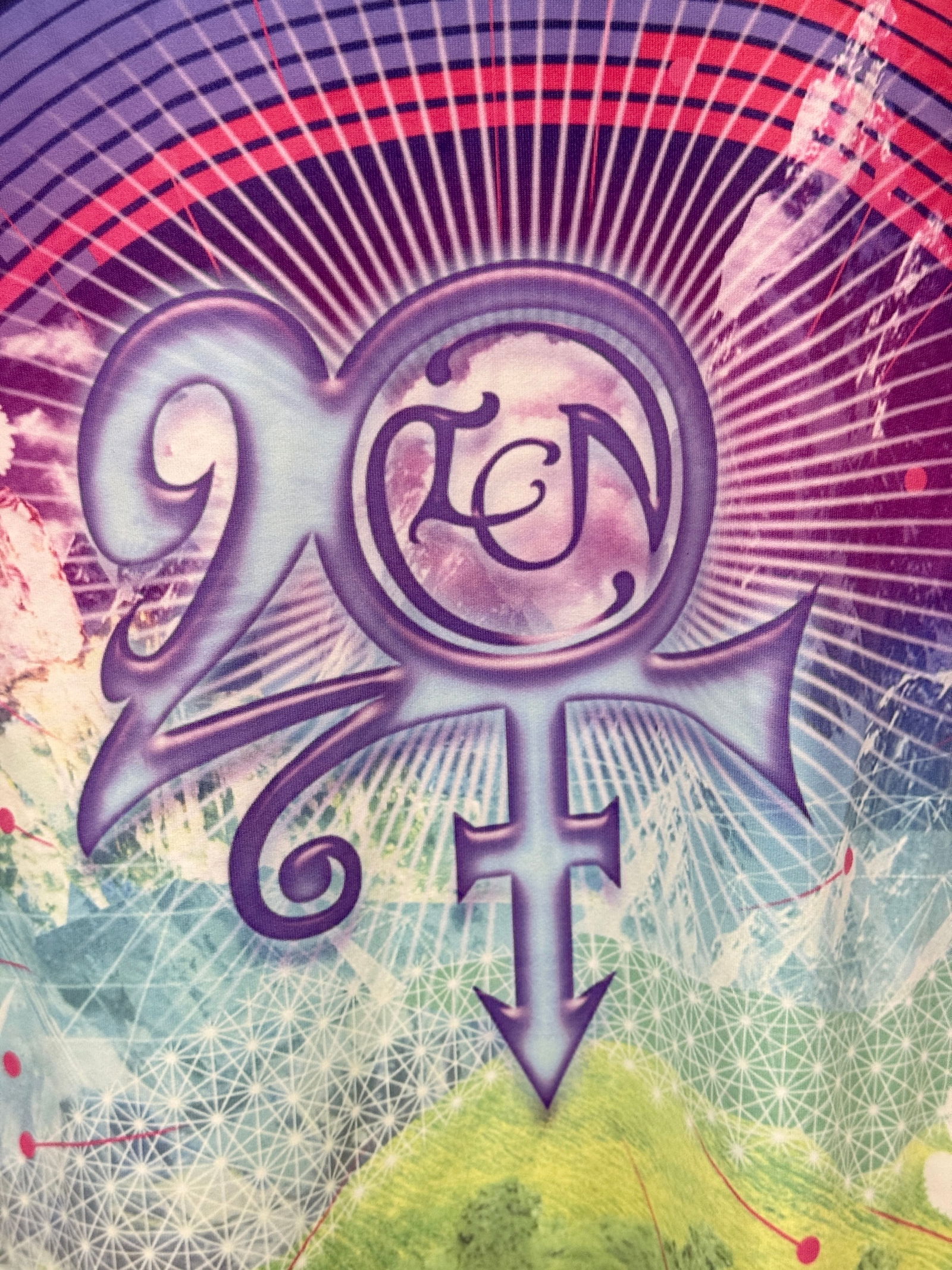 Prince's Custom Made Tunic - 6