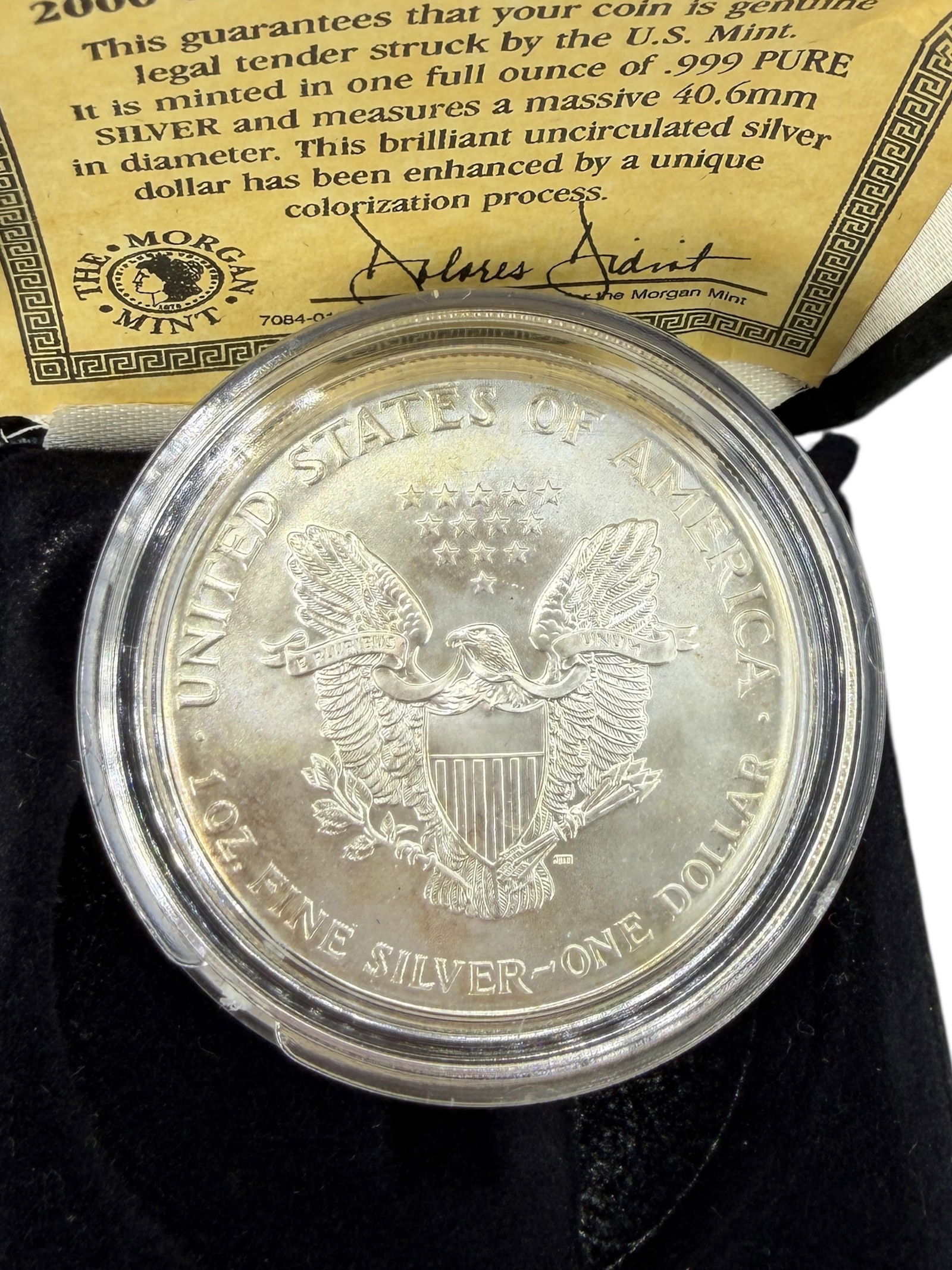 2000 U.S. Silver Eagle Colorized - 3